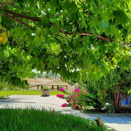 Διαμέρισμα Alekos Houses-angelo *